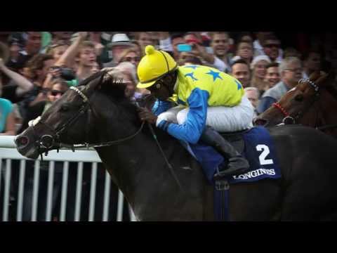 Ergebnis der Galopper des Jahres Wahl 2013