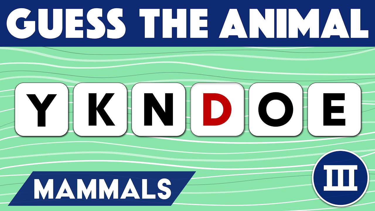 SCRAMBLED WORD | #N19 - Can you guess 20+1 mammals in our anagram quiz from jumbled letters (1/3)?