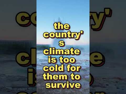 DID YOU KNOW‼️ #boost #guide #hashtags #onlinepresence #socialmedia #crafting #youtube #trending