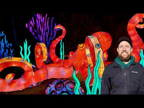 The Asian Lantern Festival at Central Florida Zoo is STUNNING