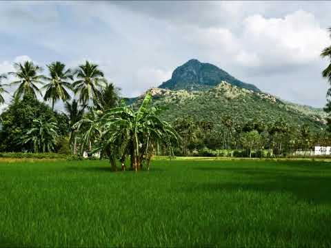 Ribhu Gita  |  Nondual Consciousness |  Audiobook