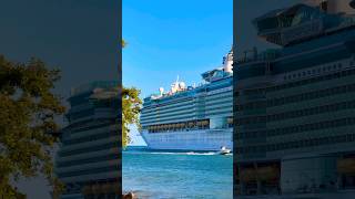 Independence of the Seas 🛳️ #cruiseship #cruise #vacation #shorts #like #share #comment #subscribe