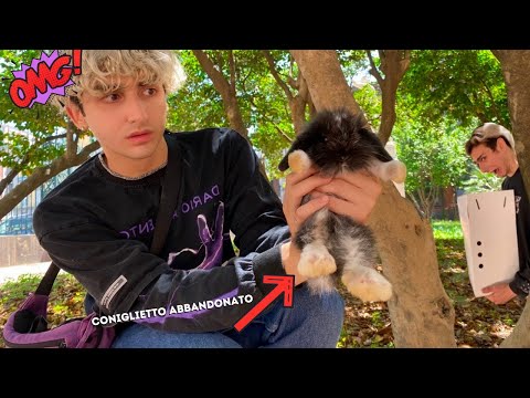 WE FOUND AN ABANDONED BUNNY IN THE FOREST (Lonely and Thirsty) *HAPPY ENDING*