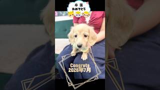 #ぱぴきん#犬のいる暮らし
