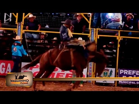 Waguinho Animal - Semi final Cutiano em Riolândia 29/10/16