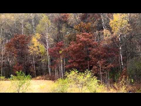 2012 Mider Cup- Team Match Play Disc Golf