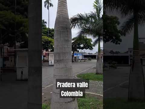 Parque central de Pradera Valle Colombia #parque #pradera #colombia
