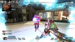 パピコ　APEXハイライト