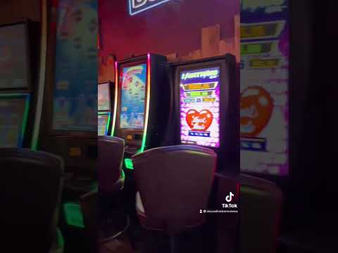 Wild Badger Saloon Video Review