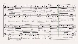 Video thumbnail for VSL Vienna Choir, SIbelius 8.5, MiR Pro, Vienna Suite, VE Pro 6 by Bogdan Focsaneanu