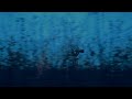 Thenian You Left Me On Suicide Sunday Slowed Reverb