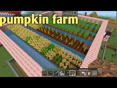 SECRET PUMPKIN FARM // VISHNA GAME