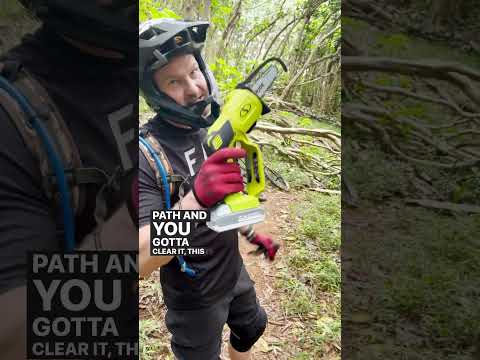 SEE IT? SAW IT - With Sun Joe 24-Volt IONMAX Cordless Handheld Chainsaw / 24V-HCS-LTE-P1 #shorts