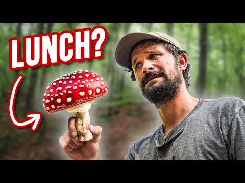 We Went Foraging For Our Food