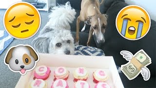 So Stressed! ♡ Follow Me Day 72