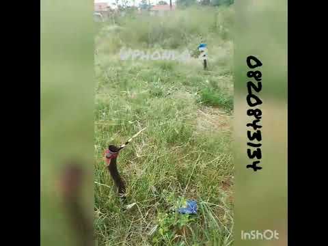 ABAFANA BOGEDEZILE [PART 2]