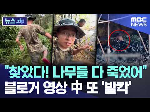 찾았다! 나무들 다 죽었어..블로거 영상 中 또 '발칵'
