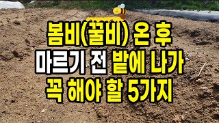 봄비 온 후 마르기 전 밭에 나가 꼭 해야 할 5가지