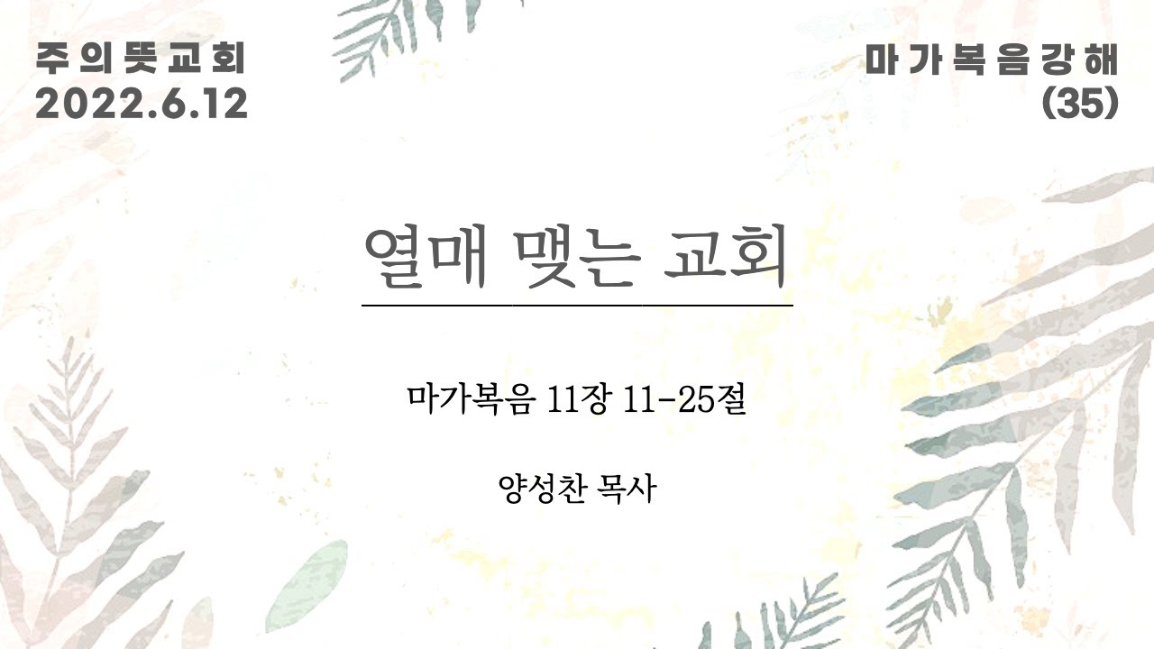 마가복음 강해(35), 열매 맺는 교회 , 마가복음 11장 11 - 25절, 양성찬 목사, 주의뜻교회 영상 썸네일
