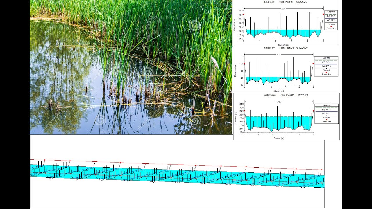HEC RAS Tutorial 15 modeling of vegetated natural stream