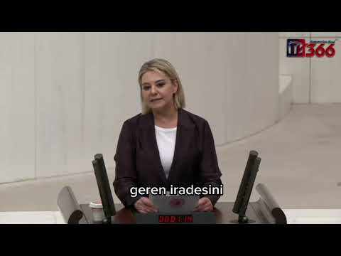 TBMM'nin gündemi Cide oldu