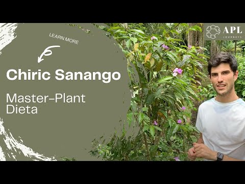 Chiric Sanango plant dieting | APL Shamanic Journeys (2019)