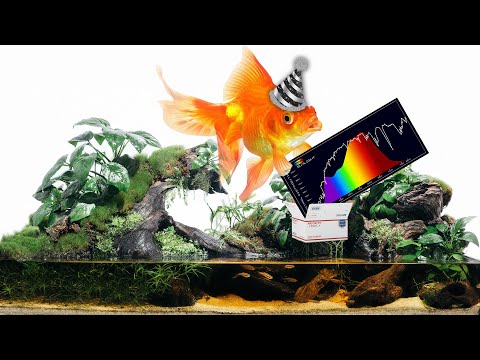 download lagu mp3 mp4 Aquarium Co Op, download lagu Aquarium Co Op gratis, unduh video klip Aquarium Co Op