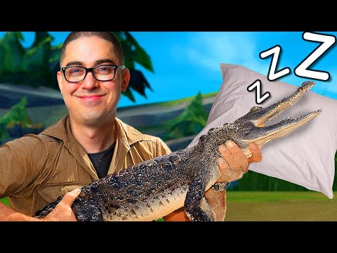 HAD TO PUT THIS RENEKTON TO SLEEP