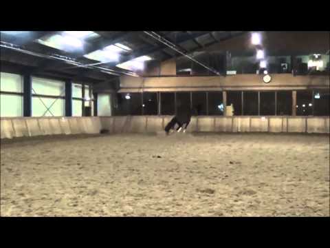 Galant v Belstaff verkocht/sold