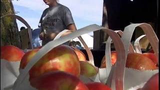 preview picture of video 'Annual Applefest in beautiful downtown Charlevoix, MI'