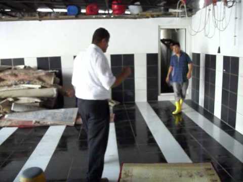 download lagu mp3 mp4 Almanya Hali Yikama Firmalari, download lagu Almanya Hali Yikama Firmalari gratis, unduh video klip Almanya Hali Yikama Firmalari