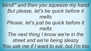 Cinerama - Quick, Before It Melts Lyrics