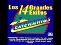 12. Largo Camino - Los Temerarios