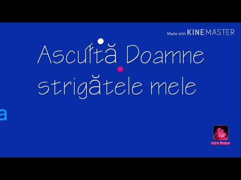 NEGATIV - Asculta Doamne strigatele mele - Sora Morghit - 2020