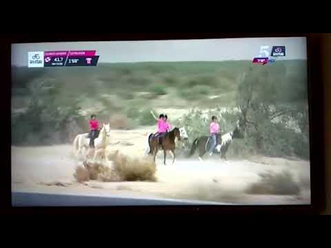 Giro D‘Italia 2018 - Israel - short version of Ein Radian horses in Yotvata