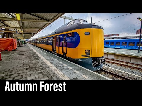 Trein Cabinerit / Herfst Onderweg! / Zwolle - Amersfoort - Amsterdam / ICM Intercity / November 2021