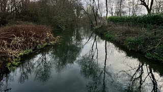 Finding Peace in Nature.