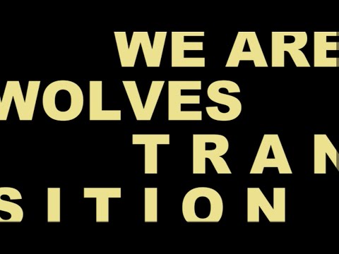 We Are Wolves - Transition (Official Music Video)