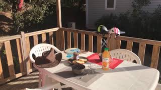 Camping Le Bois Verdon - Camping Vendée - Image N°2