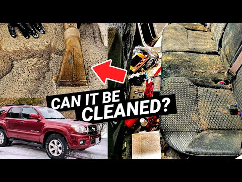 Thumbnail for Cleaning A NASTY Toyota 4Runner! Can It Be Cleaned?!?! by Toyota Land Cruiser, Toyota 4Runner, Toyota, Car