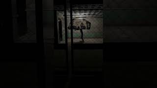 Download lagu Ding Dong Ku datang padamu, bukalah pintu. mp3