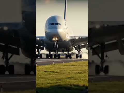 Qatar Airways A380 Majestic Landing at International Airport | Realistic Airport Scene