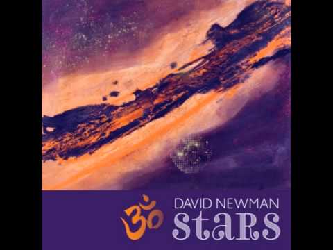 David Newman - Tulsi's Bliss (Maha Mantra)