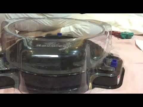 Zillion Zeus vs Phycic Phantom