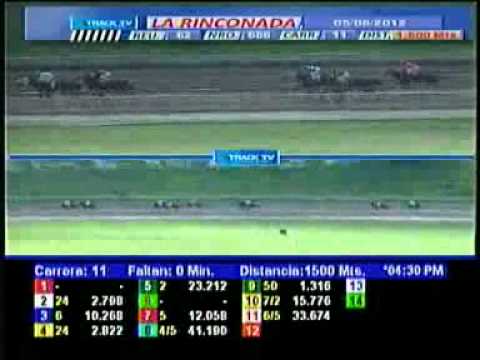 11VA CARRERA DOM 05 AGOSTO LA RINCONADA AUDIOHIPISMO