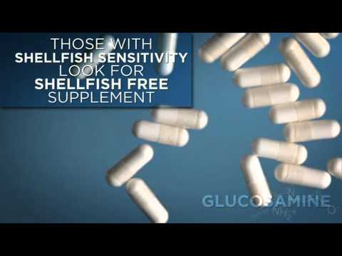 Bodybuilding.com Guide to Glucosamine