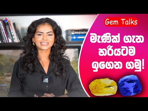 Welcome to GEM TALKS – Presented by CAGS