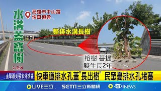 [問卦] 高雄人:除了高雄車站還有什麼好嘴的?