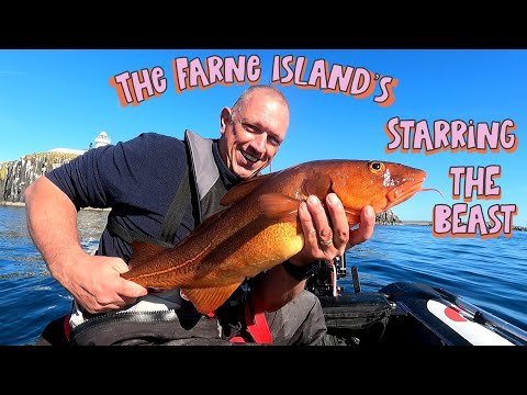 SIB fishing in the UK for cod with lures at the Farne Islands