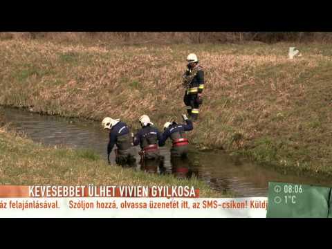 Fiatalkora mentheti meg a börtöntől M. Vivien gyilkosát? - tv2.hu/mokka